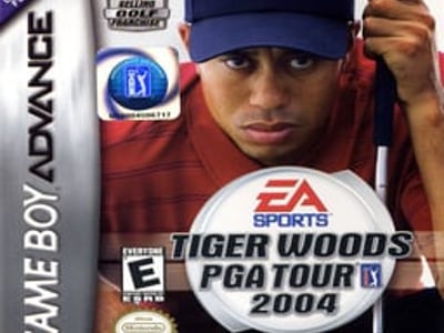 Tiger Woods PGA Tour 2004