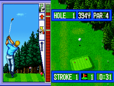 Top Player's Golf