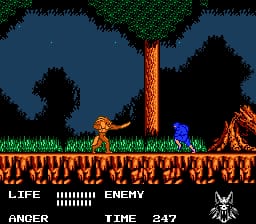 A werewolf character stands on a platform in the center-left of the screen, facing right toward a blue enemy. The scene features black silhouetted trees against a dark blue sky, orange flames covering the bottom of the screen, and green grass along a ground platform. The HUD displays "LIFE" with a health bar on the left, "ANGER" with another bar, and "ENEMY" with "TIME: 237" on the right, plus a wolf emblem icon. The 8-bit sprite art uses a limited color palette typical of NES-era graphics.