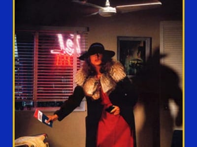 Where in the USA is Carmen Sandiego