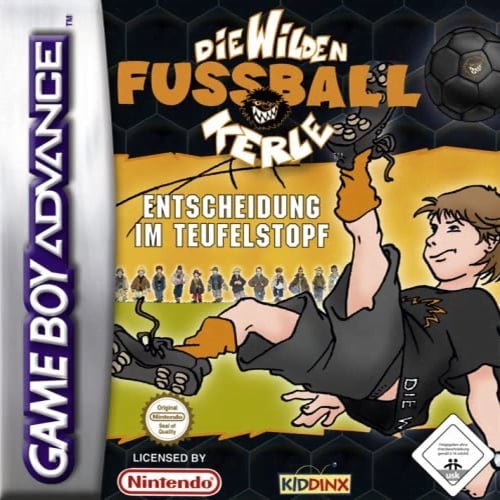 Wilden Fussball-Kerle, Die - Entscheidung im Teufelstopf