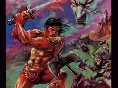 Wizards & Warriors