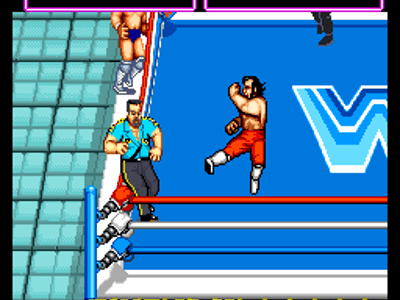 WWF Superstars