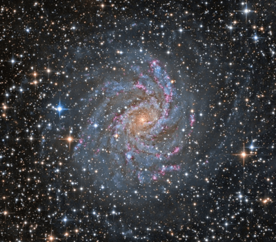 PlaneWave L-600 Direct Drive Mount