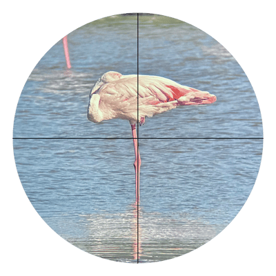 Vaonis Finder Scope Kit for Hestia