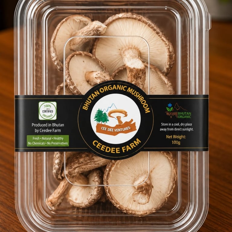 product-image-1.jpg