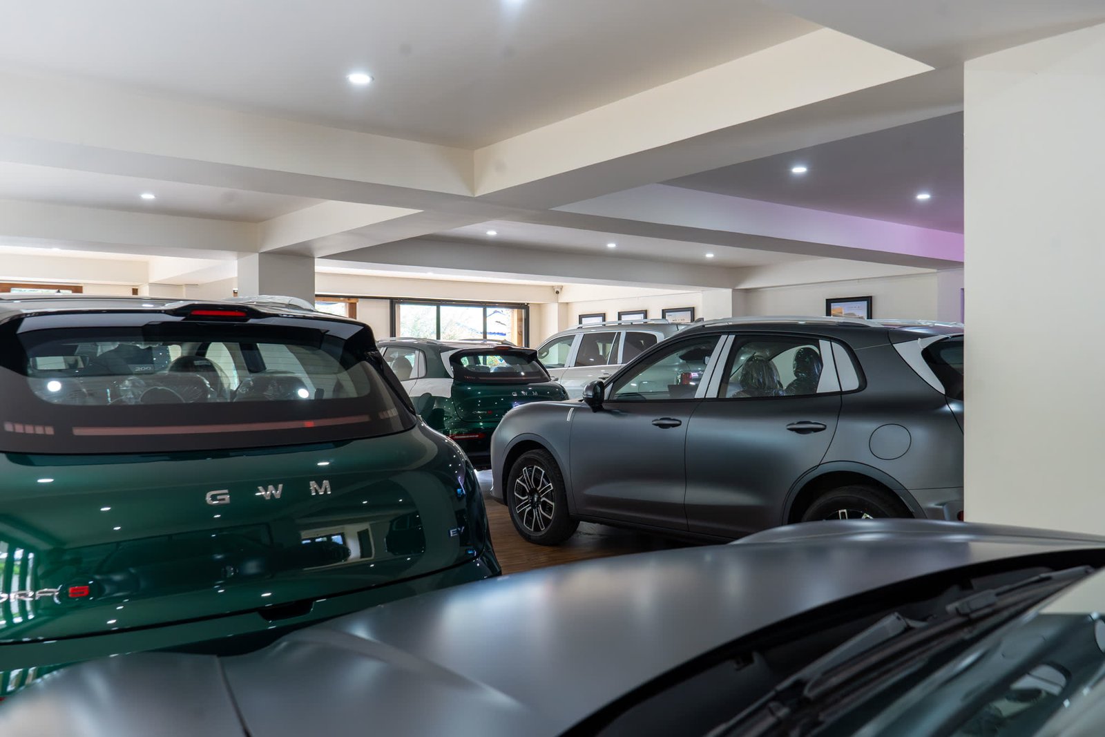 New GWM arrivals filling the showroom floor