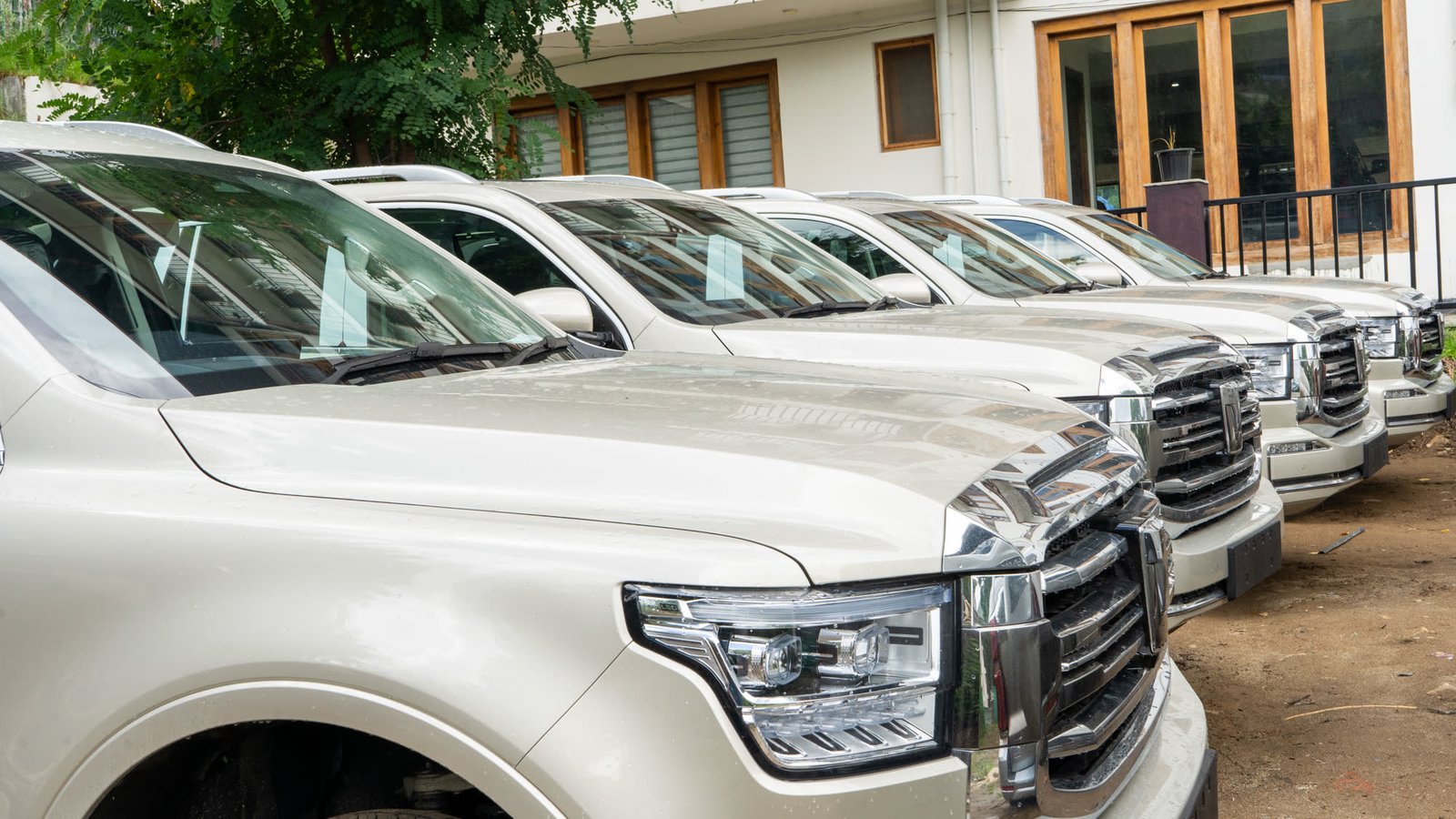 Row of new GWM vehicles lined up outside the showroom