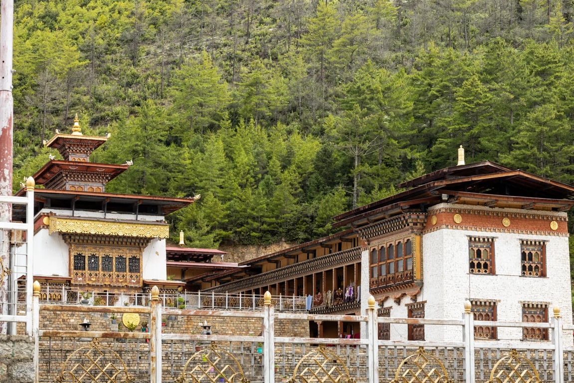 Temple rooftops against the forest