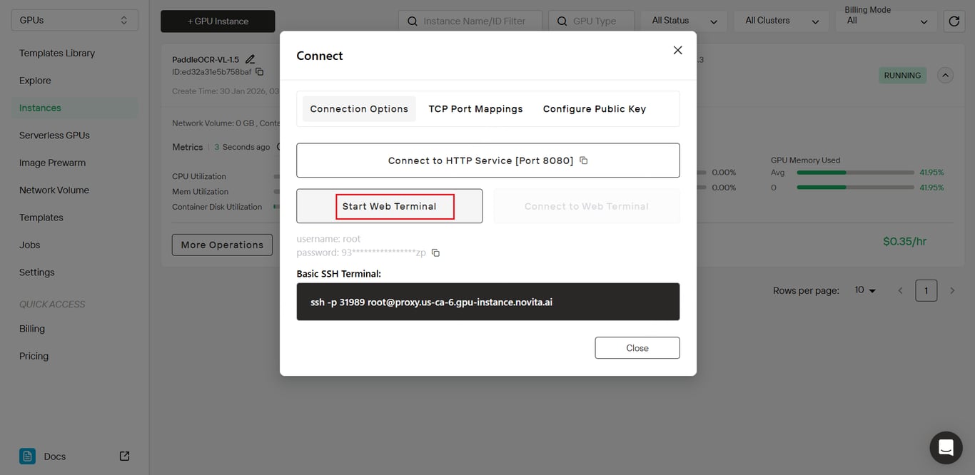 Accessing web terminal on Novita AI GPU instance