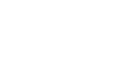 BetBus HiLo