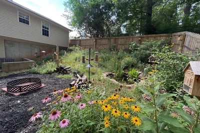 Any Ideas To Help Make This Back Yard A Little Less Ugly transformed to Wildlife Sanctuary style