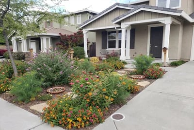 Diy Front Yard Landscape Project Concept To Final transformed to Butterfly Garden style