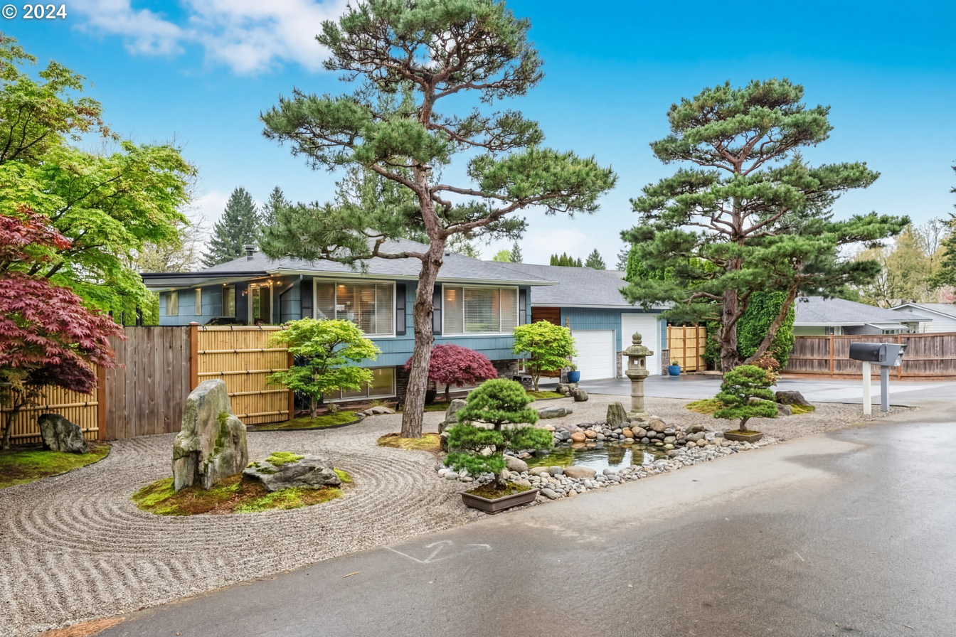 Japanese Zen Garden transformation