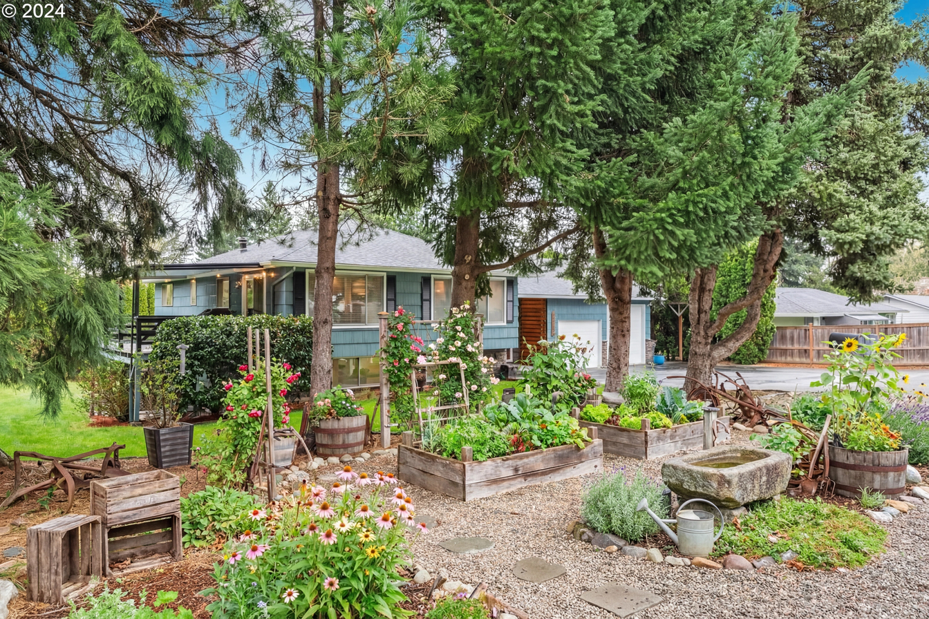 Rustic Farmhouse transformation