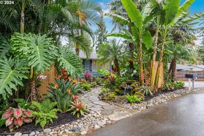 Front Yard Advice Inspiration transformed to Tropical Paradise style