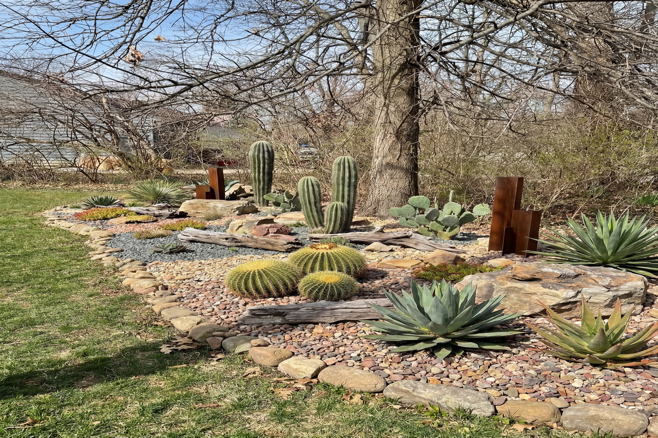 Desert Xeriscape transformation