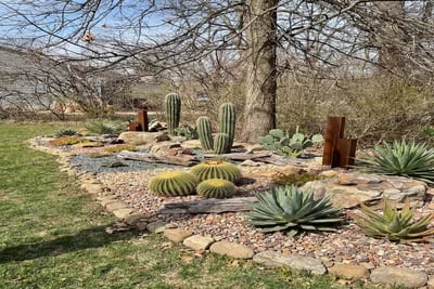 Front Yard Wwyd To Improve It Looking For Low Maintenace transformed to Desert Xeriscape style