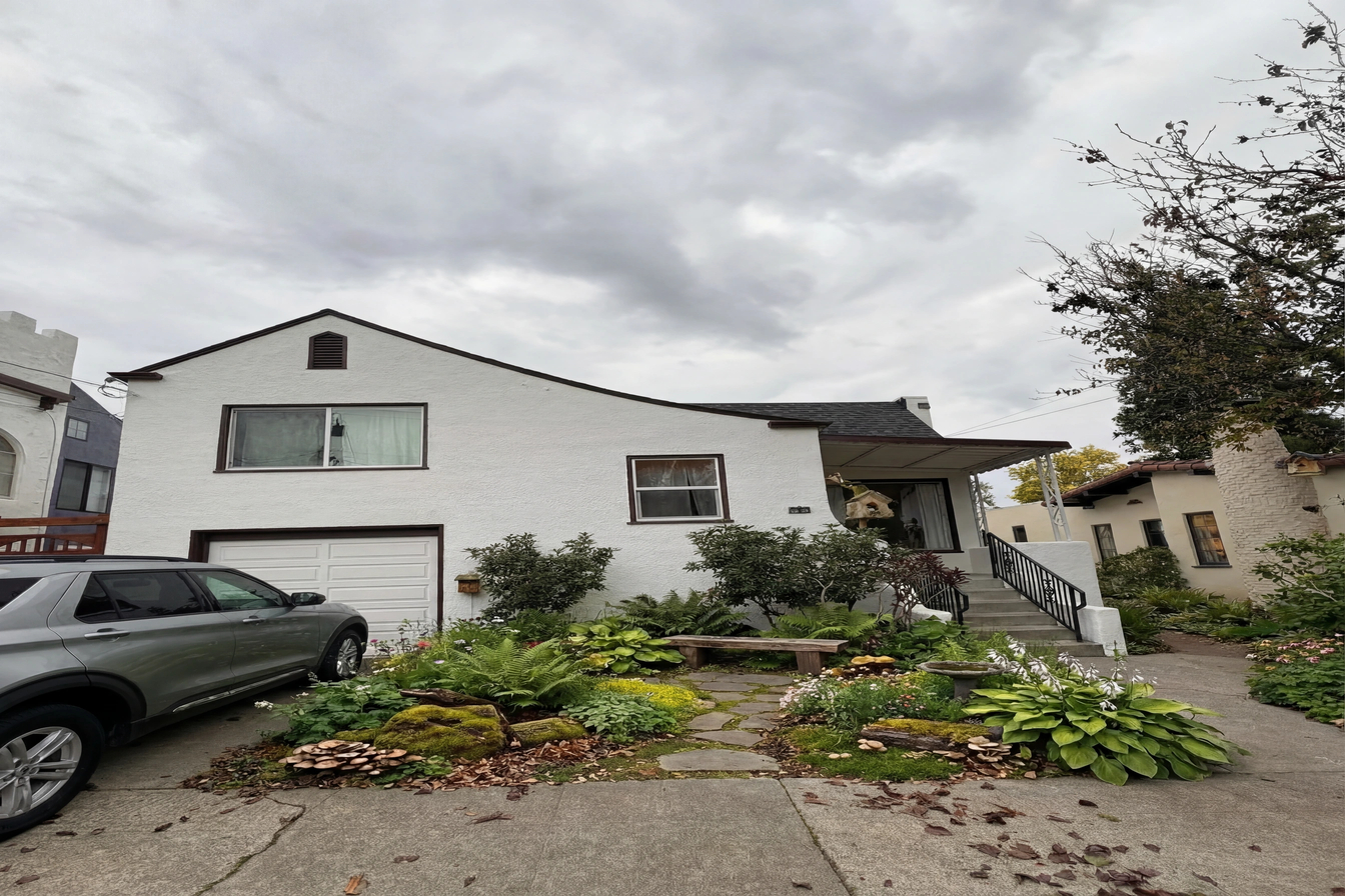 Woodland Garden transformation