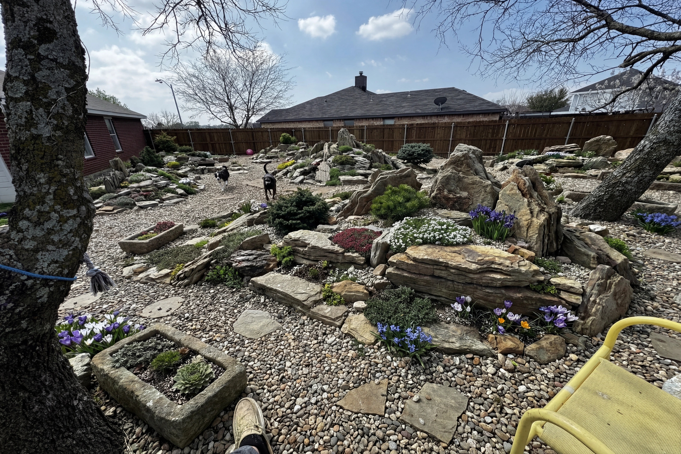 Rock Garden Alpine transformation