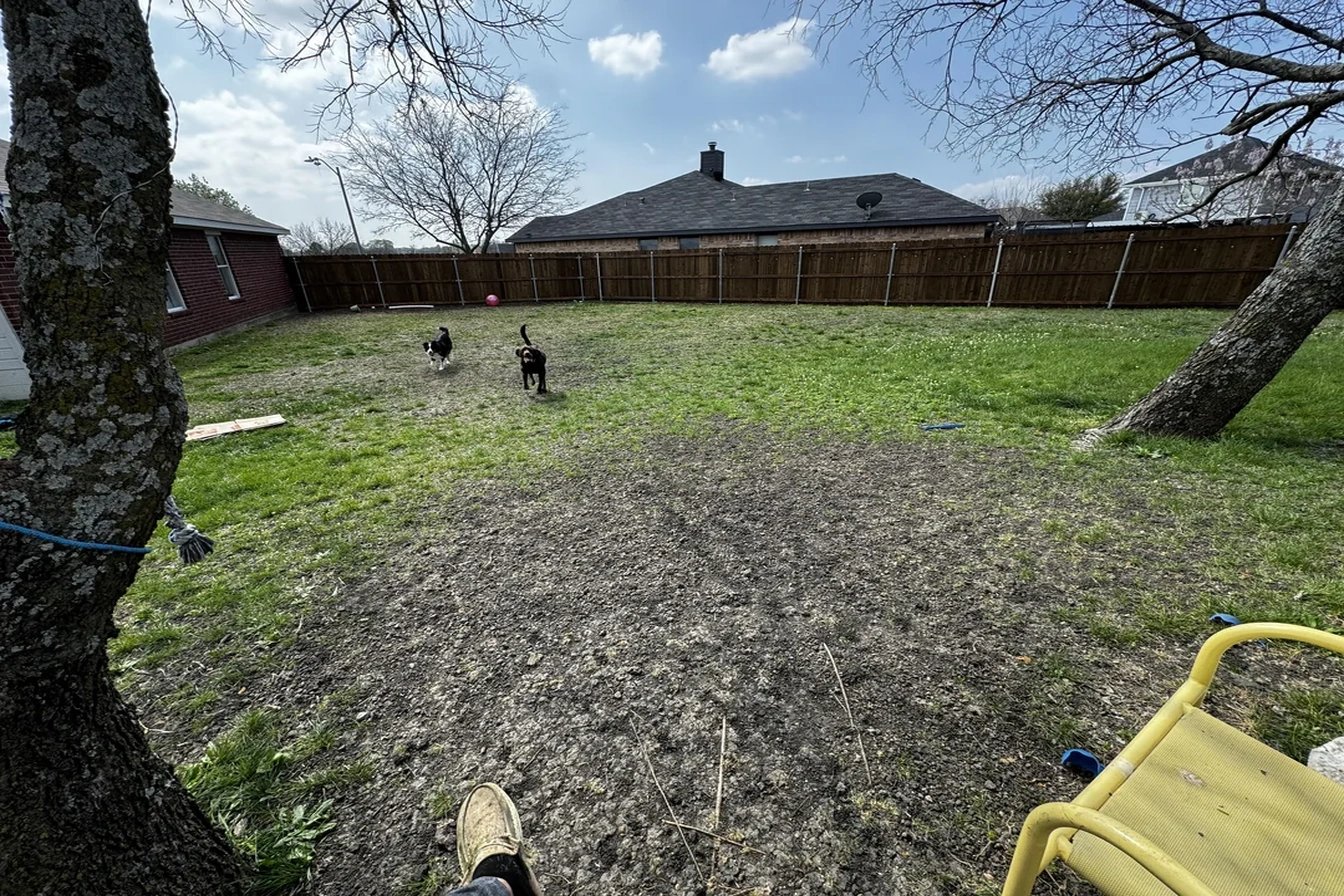 Original: Help Our Backyard Is Ugly