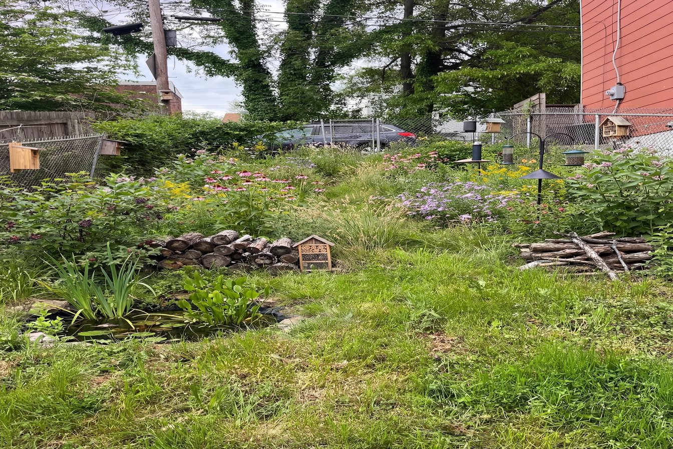 Wildlife Sanctuary transformation