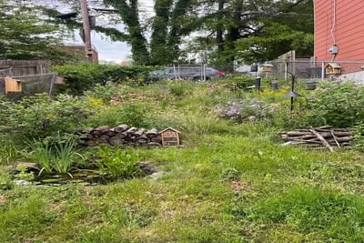 Help With Ugly Sloped Yard transformed to Wildlife Sanctuary style