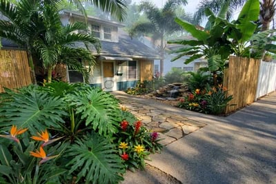 How To Make My Front Yard Look Better transformed to Tropical Paradise style