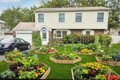 Looking For Opinion Dull Front Yard transformed to Edible Landscape style