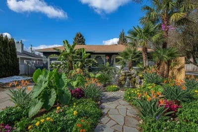 Pexels Ibidsy 8894802 transformed to Tropical Paradise style