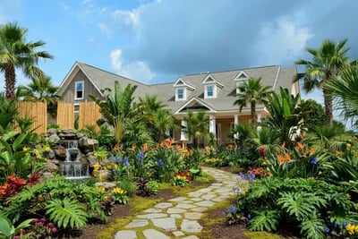 Pexels Pixabay 534228 transformed to Tropical Paradise style