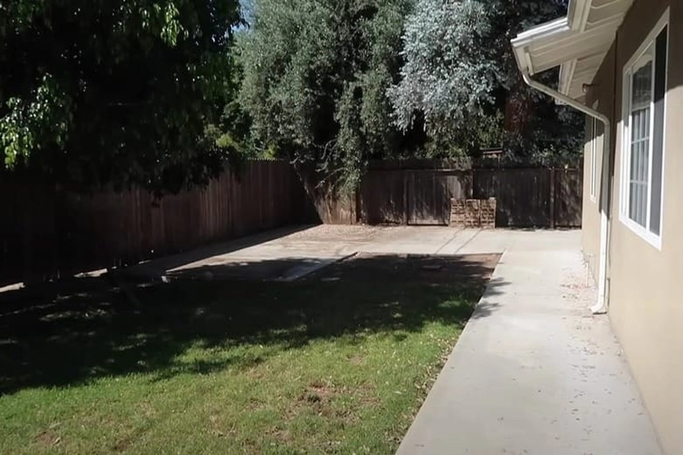 Original: Photo 2026 03 05 12 39 27