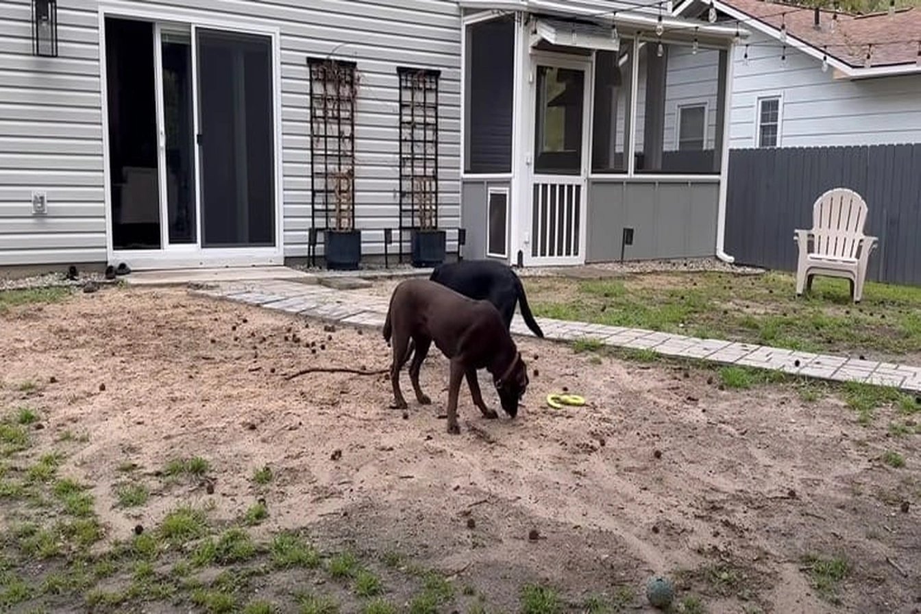 Original: Photo 2026 03 05 12 39 44