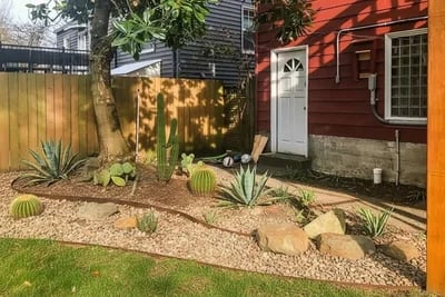 Photo 2026 03 05 12 39 53 transformed to Desert Xeriscape style