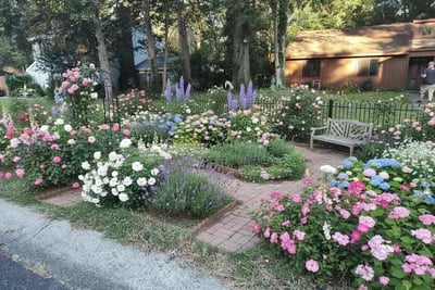Tired Of Having The Worst Yard On The Street transformed to English Cottage Garden style