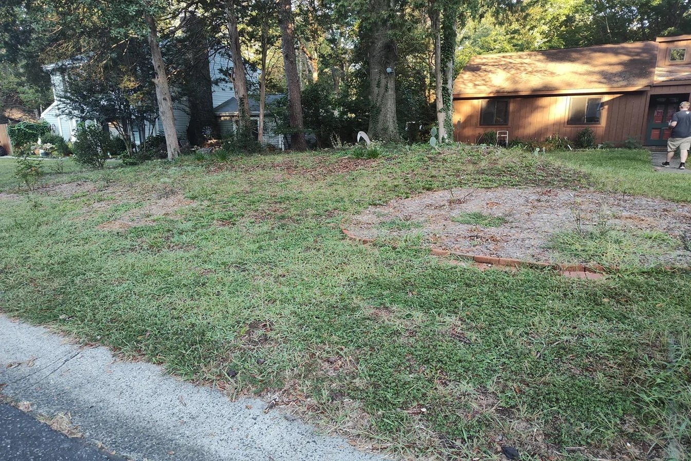 Original: Tired Of Having The Worst Yard On The Street