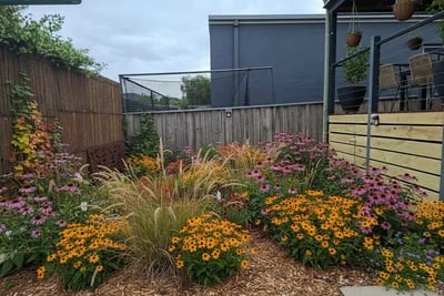 Ugly Fence transformed to Prairie Style Garden style