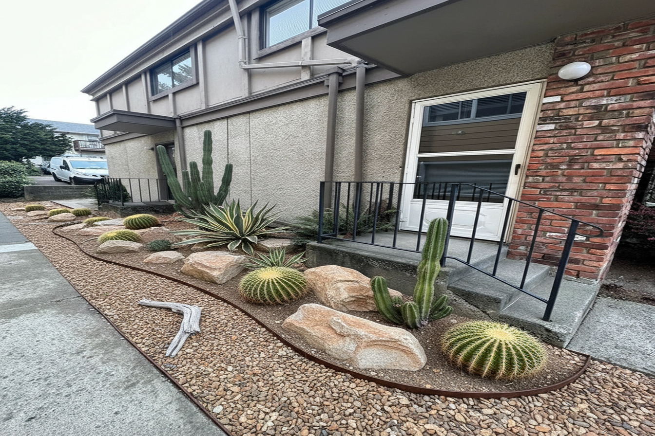 Desert Xeriscape transformation