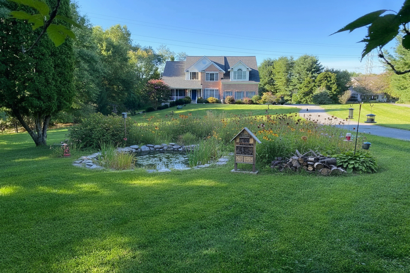 Wildlife Sanctuary transformation