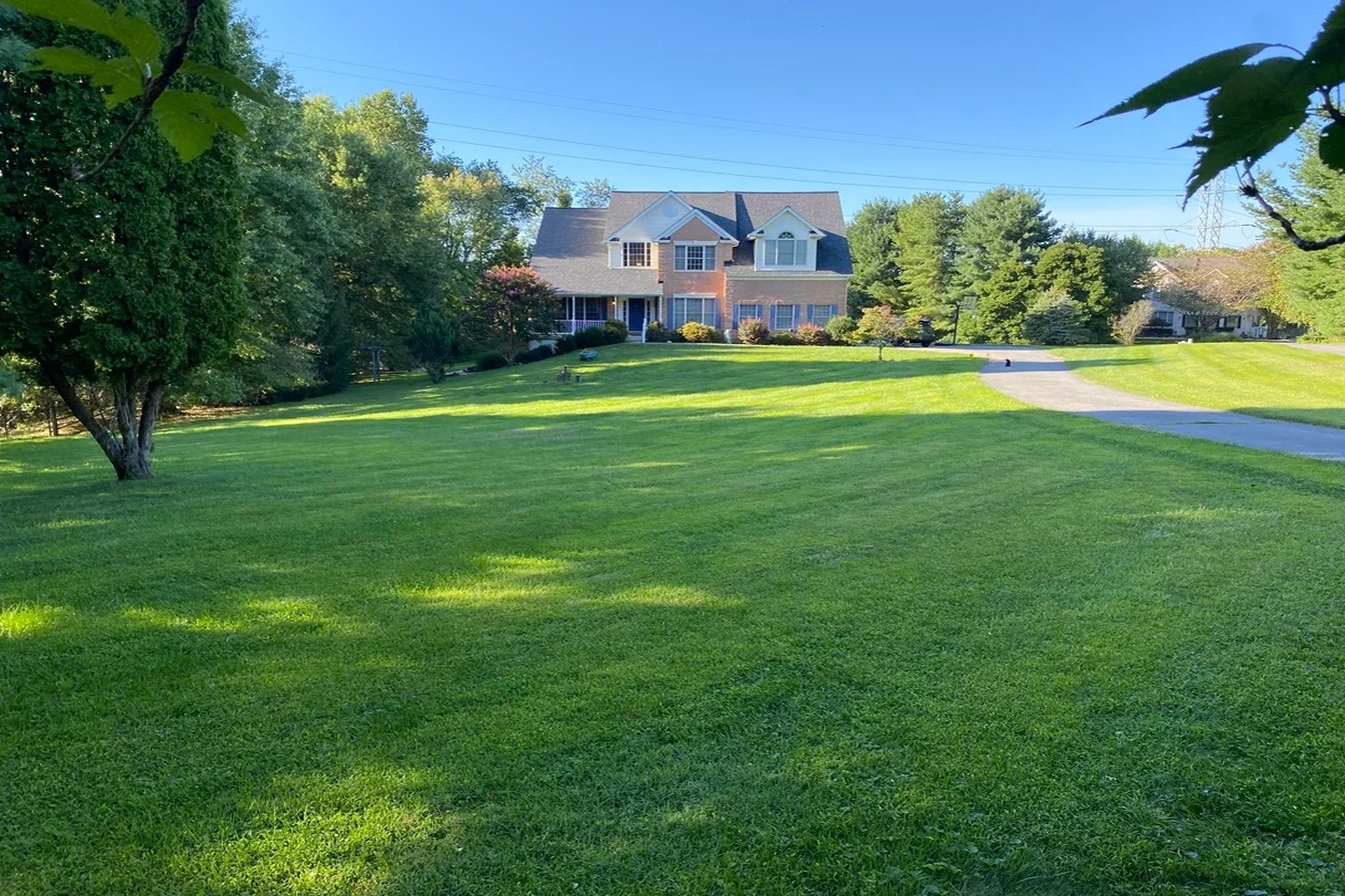 Original: What To Do With My Front Yard