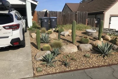 What Would You Do With Our Ugly Front Side Yard transformed to Desert Xeriscape style