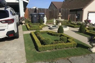 What Would You Do With Our Ugly Front Side Yard transformed to French Formal Garden style