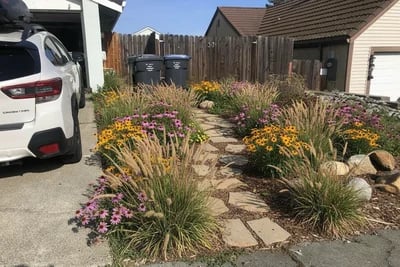 What Would You Do With Our Ugly Front Side Yard transformed to Prairie Style Garden style