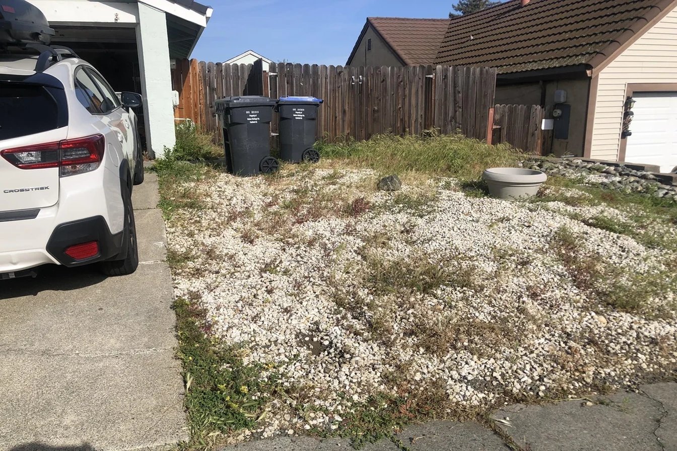 Original: What Would You Do With Our Ugly Front Side Yard