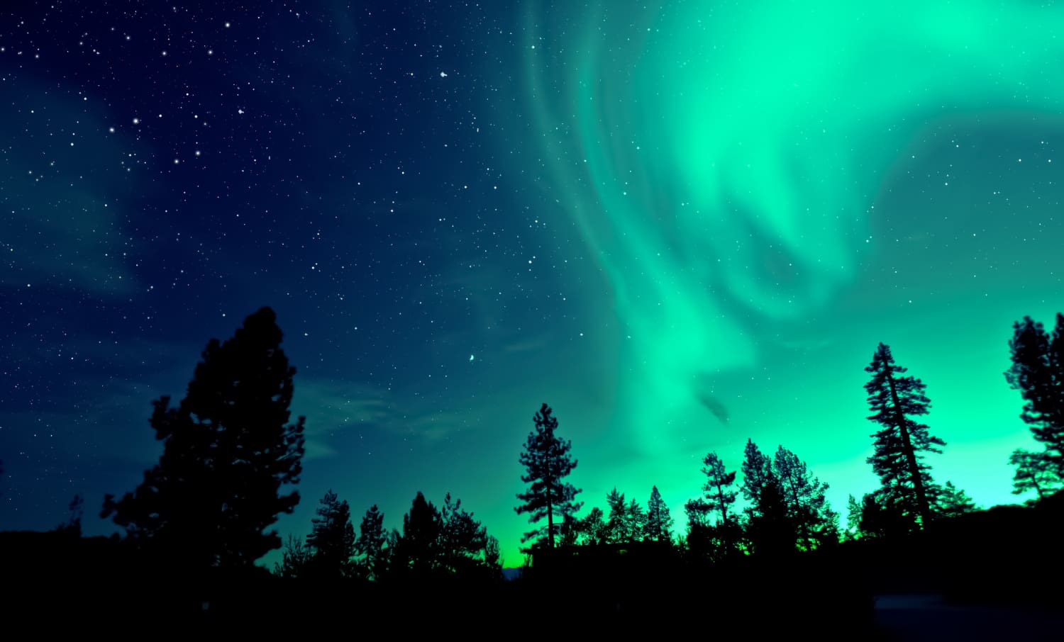 Aurora borealis lighting up the sky above the trees