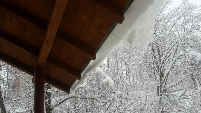 Low-angle view of the roof with snow-covered trees in the yard