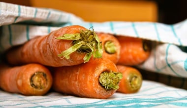 Close-up of carrots