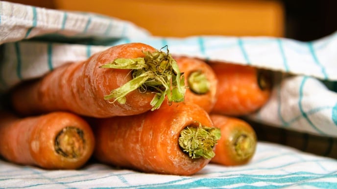 Close-up of carrots