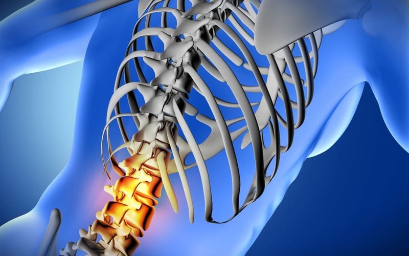 3D visualization of a spinal cord injury