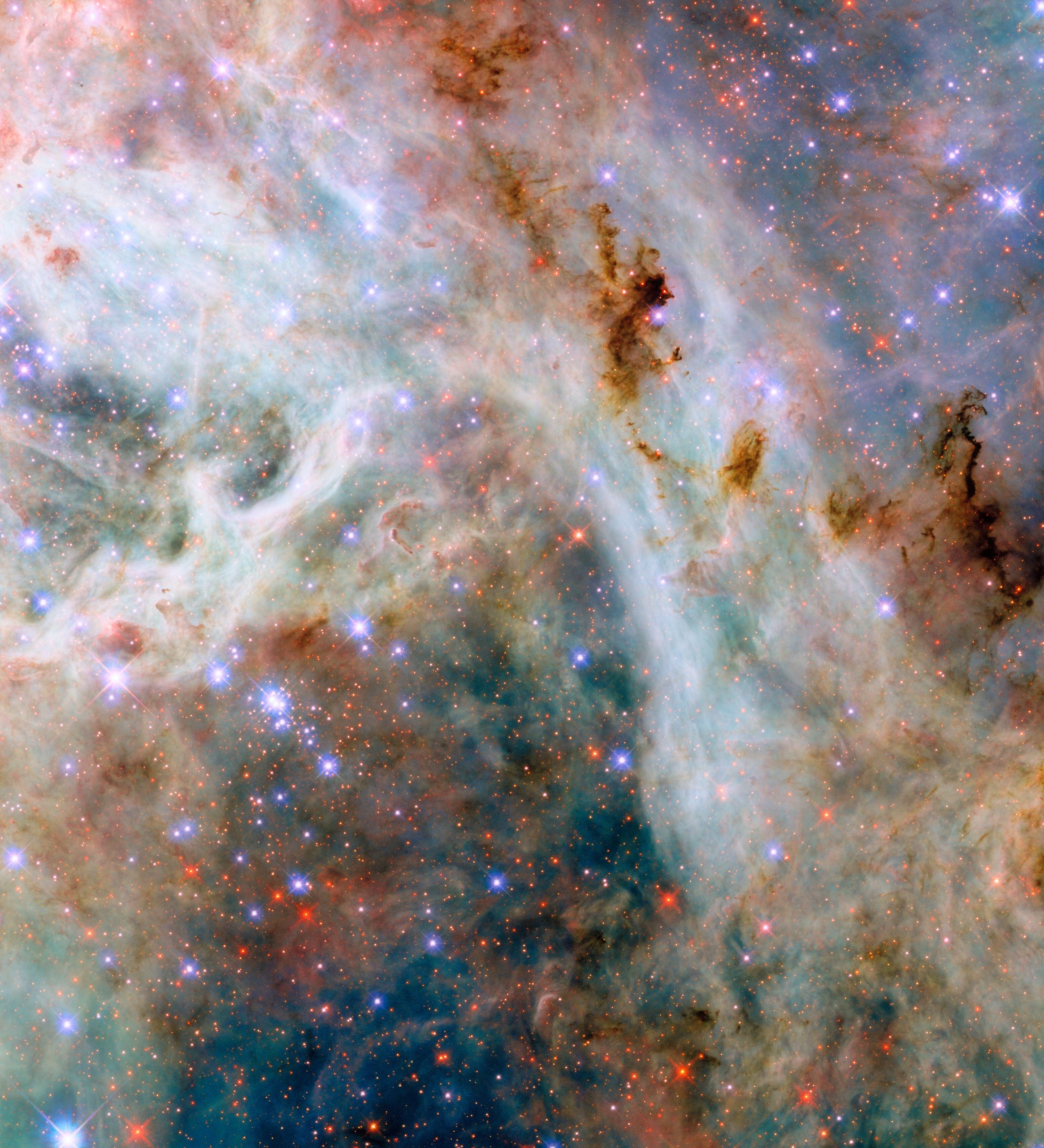 This NASA/ESA Hubble Space Telescope reveals clouds of gas and dust near the Tarantula Nebula, located in the Large Magellanic Cloud about 160,000 light-years away.